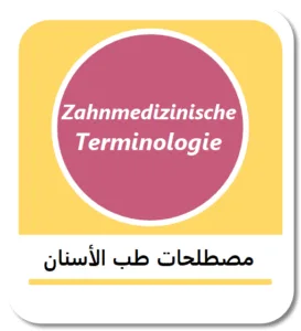 أهم مصطلحات طب الأسنان باللغة الألمانية (Zahnmedizinische Terminologie)