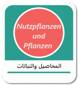 المحاصيل والنباتات باللغة الألمانية